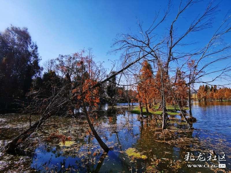 想预测未来，知道自己的寿命长短？记住这4个指标，关乎寿命健康
